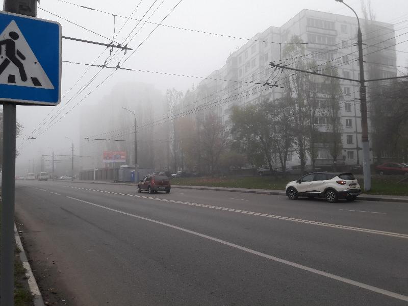Окутавший Воронеж густой туман рассеется ближе к вечеру