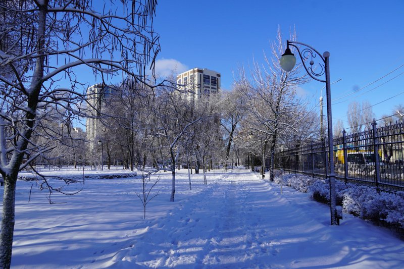 Город, декабрь, снег. Репортаж погоды в Воронеже зимой.