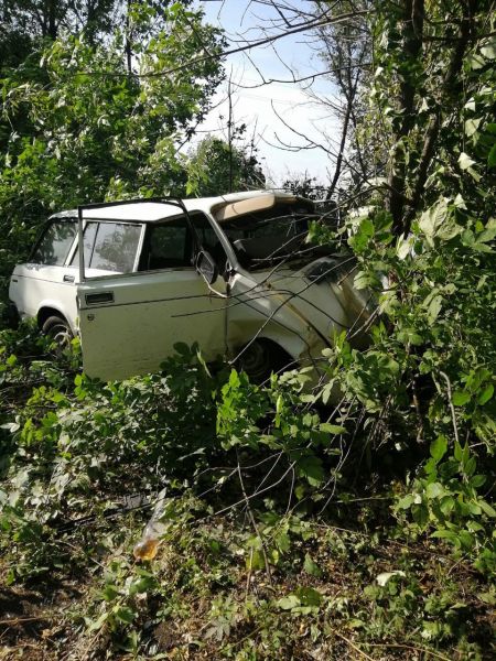 В Воронежской области погиб водитель врезавшейся в дерево легковушки