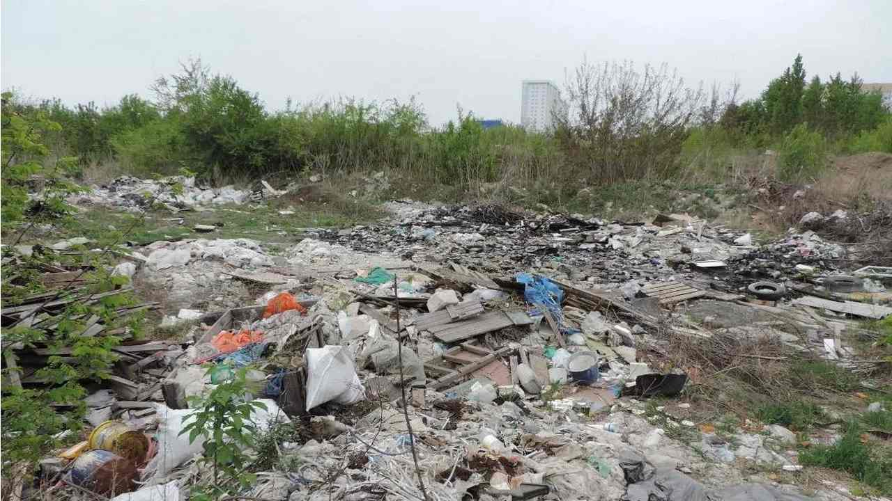 Владельца незаконной свалки в 1 тыс. кв.м. в Воронеже разыскивают экологи