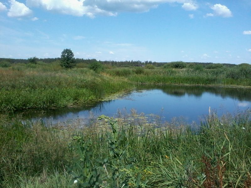 В Воронежской области расчистят еще шесть рек