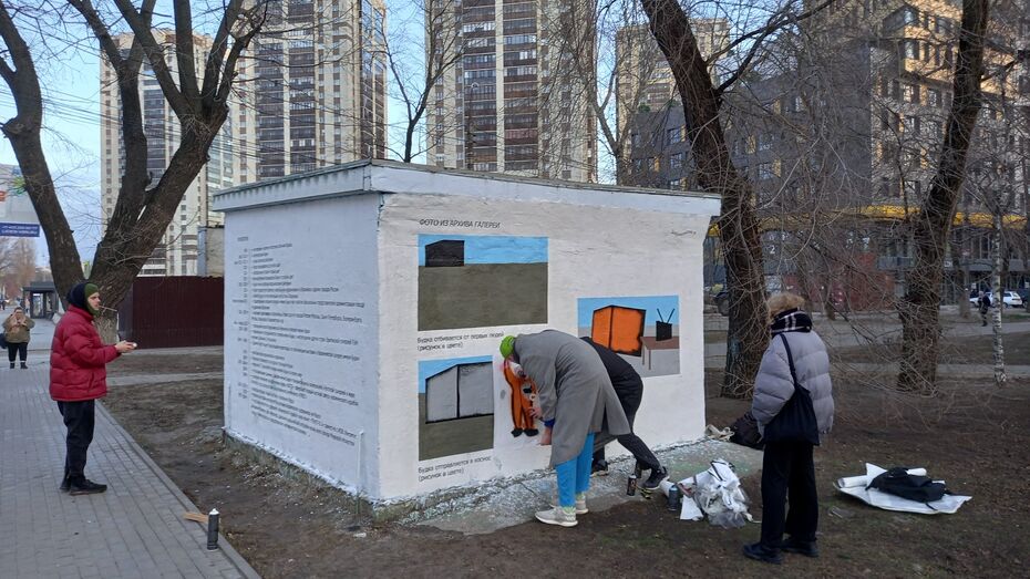 Трансформаторная будка в Воронеже стала объектом стрит-арта