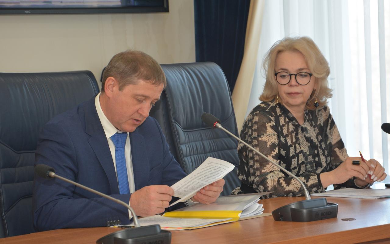 Отчет о проверке капремонта гимназии имени Никитина заслушали депутаты гордумы Воронежа