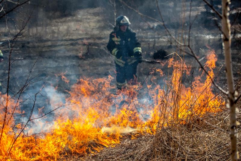 МЧСники просят воронежцев до пожароопасного периода провести огневые работы