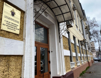Воронежские следователи прокомментировали информацию о ненайденных следах истязания детей в доме–интернате