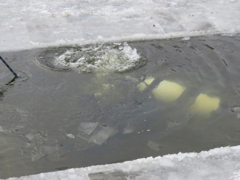 Из-подо льда достали тело погибшего человека в Воронежской области