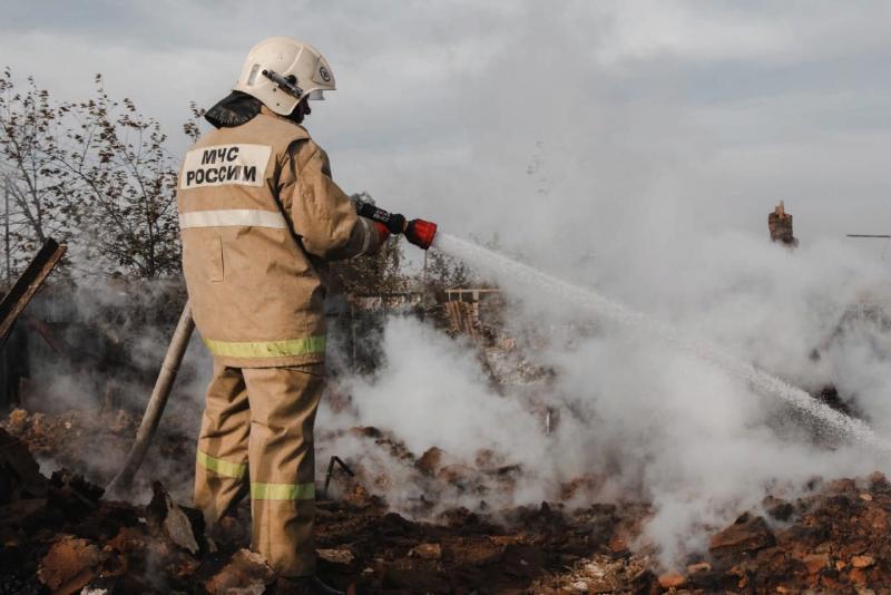 Все крупные природные пожары в Воронежской области ликвидировали