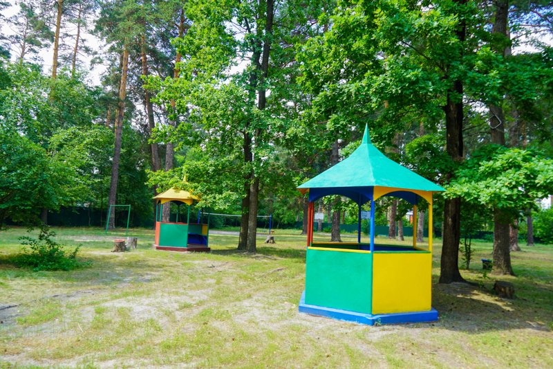 Воронежские власти хотят забрать детский лагерь «Орленок» в муниципальную собственность