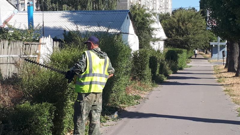 Благоустройство: в Железнодорожном районе Воронежа продолжают стричь кустарник и косить траву