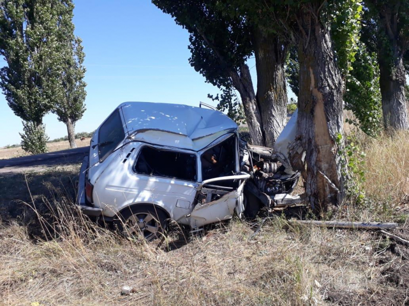 «Лада Нива» врезалась в дерево, водитель погиб в Воронежской области