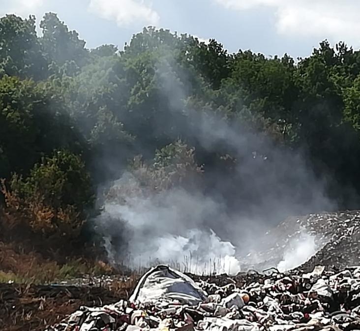 Безобразия обнаружились на полигонах в Воронежской области