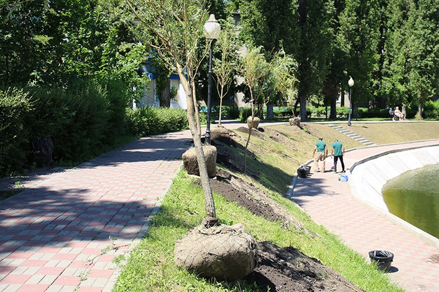 В Воронеже завершены основные работы по благоустройству в сквере «У озера»