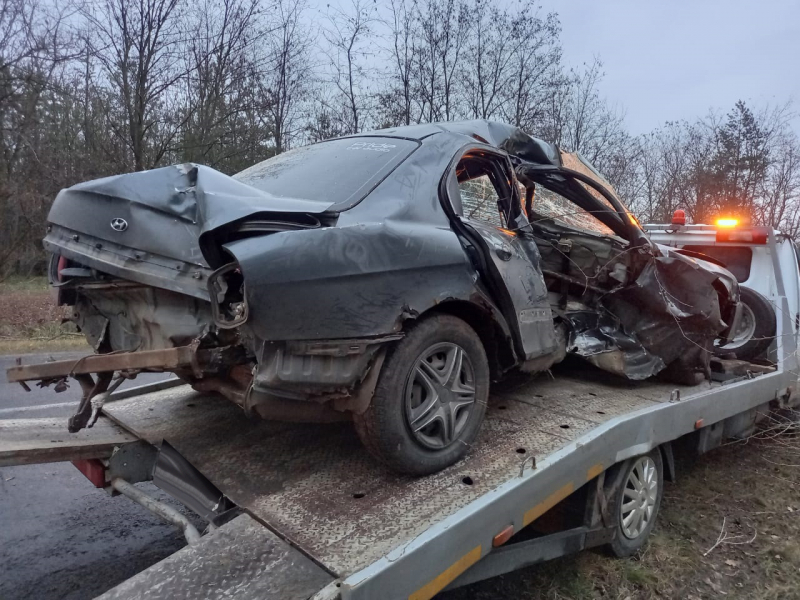В Воронежской области погиб водитель врезавшейся в дерево иномарки