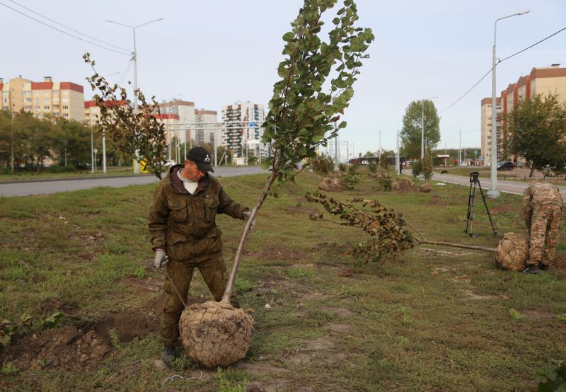 Весной в Воронеже высадят более 900 молодых деревьев