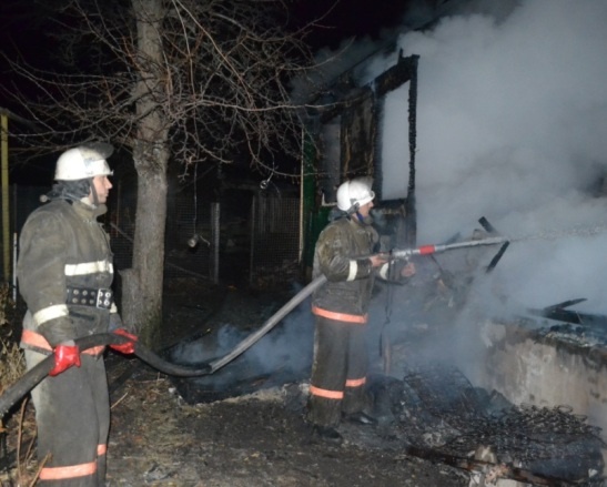 Два человека погибли на пожаре в Воронежской области