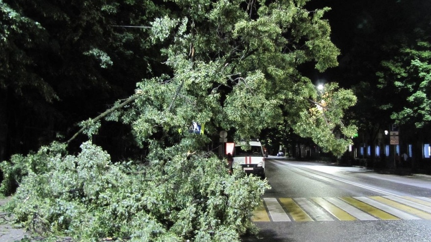 Из-за урагана 7 деревьев рухнули на провода и машины в Воронеже