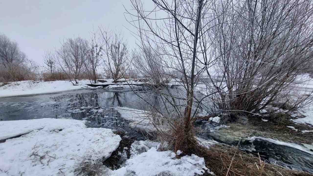 Сброс сточных вод в реку под Воронежем подтвердили экологи