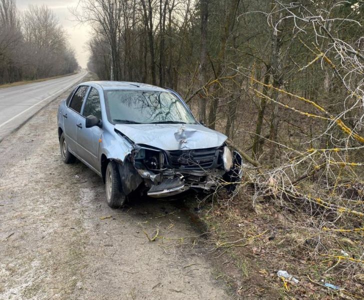 Во врезавшейся в дерево машине пострадали 22-летняя и 37-летний жители Воронежской области