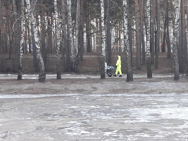 За неделю из-за гололёда в Воронеже и области травмы получили 848 человек