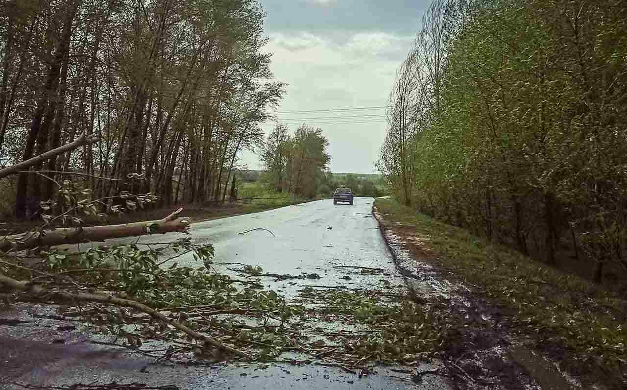 Из-за непогоды 28 населенных пунктов временно остались без света в Воронежской области