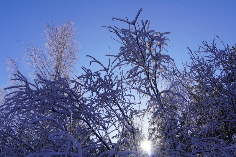 Мороз до -10 градусов ожидается в выходные дни в Воронежской области