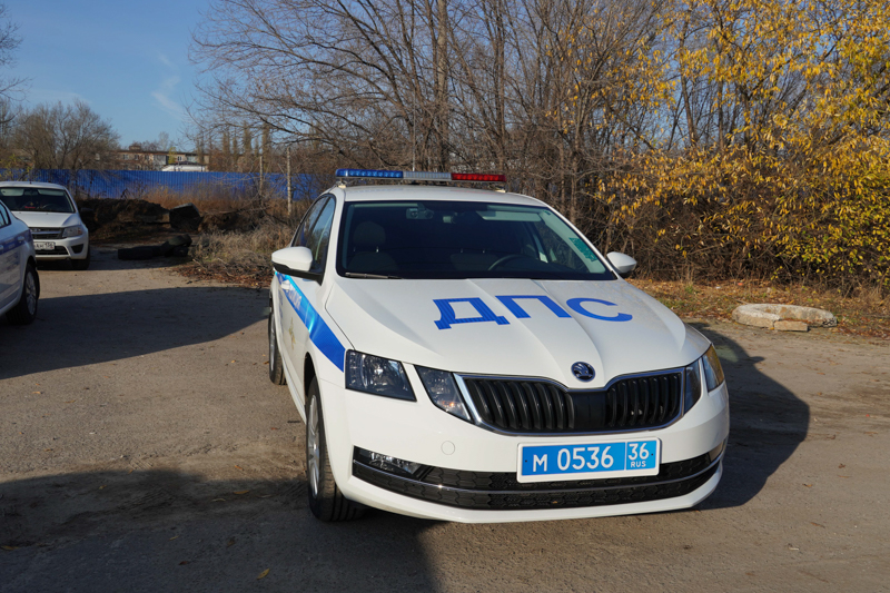 Под Воронежем арестован водитель, пытавшийся уйти от машины ДПС