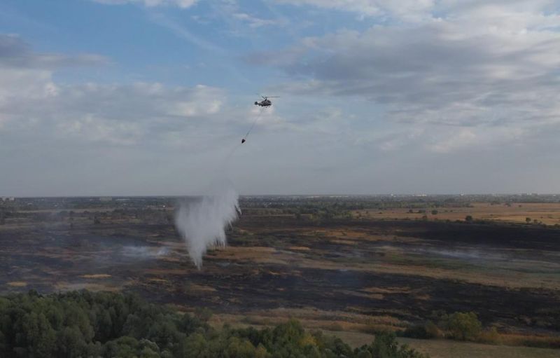 В Воронежской области ликвидировали самый масштабный лесной пожар