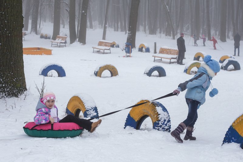 Предстоящая рабочая неделя будет снежной в Воронежской области