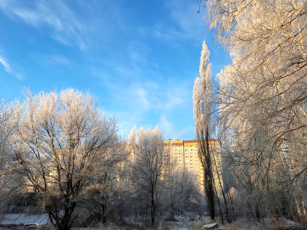 Воронеж климат зимой. Воронеж в феврале. Погода в Воронеже фото. Воронеж климат. 23 На снегу.