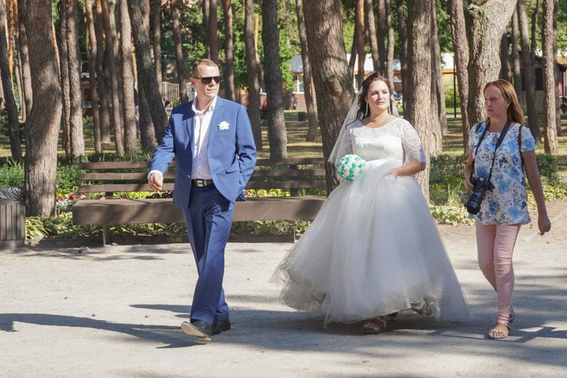 В День семьи в Воронежской области в брак вступят 229 пар