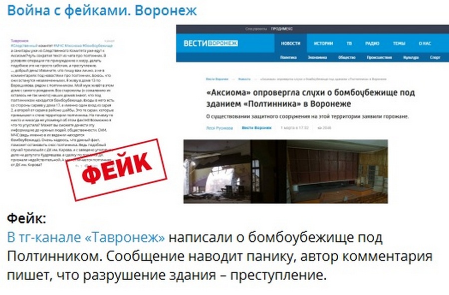 Telegram-канал по борьбе с фейками запустили воронежские власти