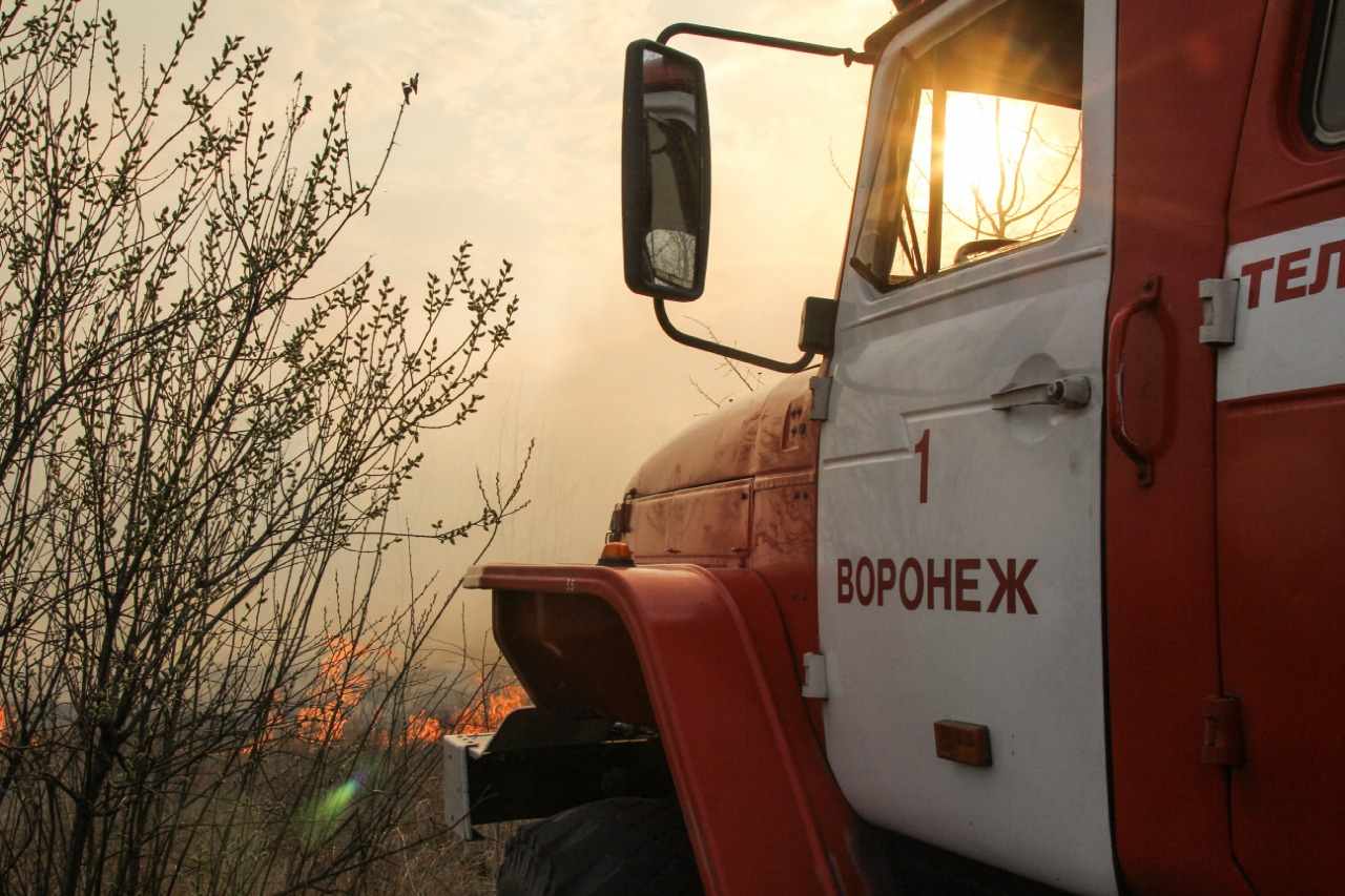 Пожарную опасность объявили в Воронежской области из-за усиления ветра