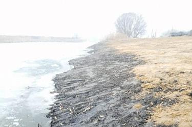 Речку Икорец в Воронежской области почистили с грубыми нарушениями