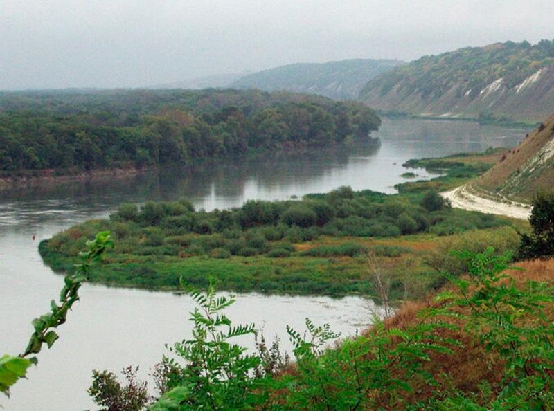 Протекающую по Воронежской области реку Дон будут оздоравливать
