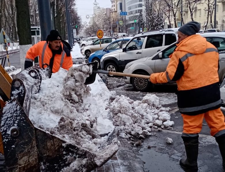 Воронежские экологи заявили, что повреждённым во время чистки снега деревьям угрозы нет