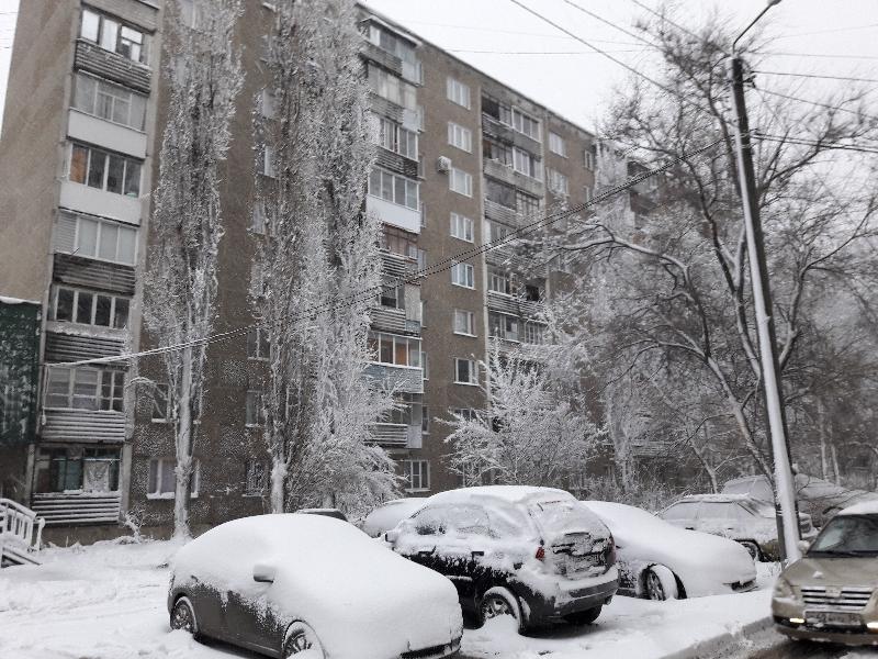 Какие прогнозы на 31 декабря в Воронеже даёт «Яндекс»