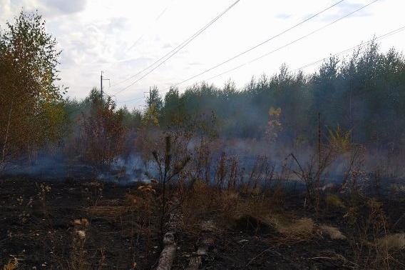 В Воронежской области ландшафтный пожар перекинулся на строения