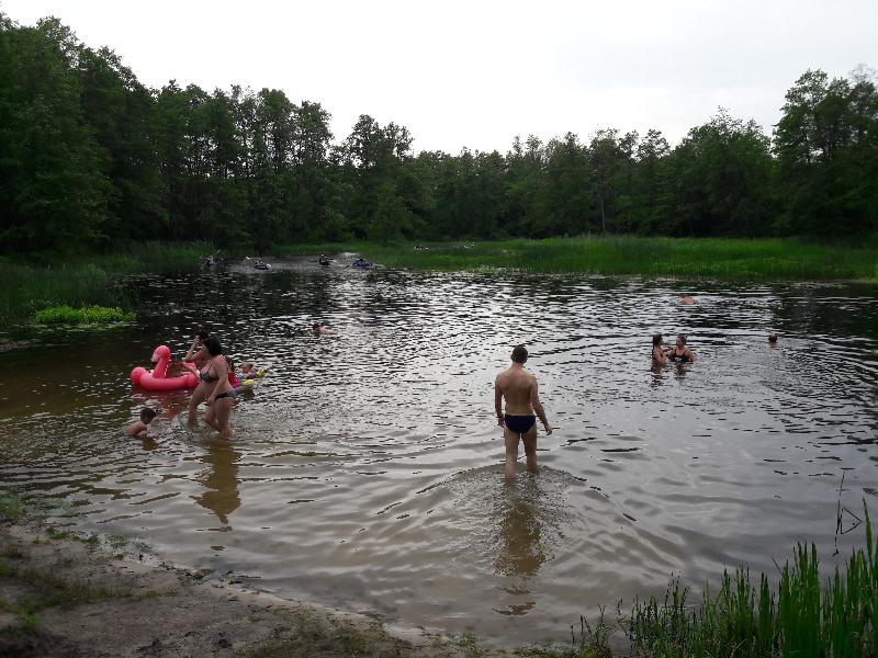В Воронежской области в реке Дон обнаружили холероподобный вибрион