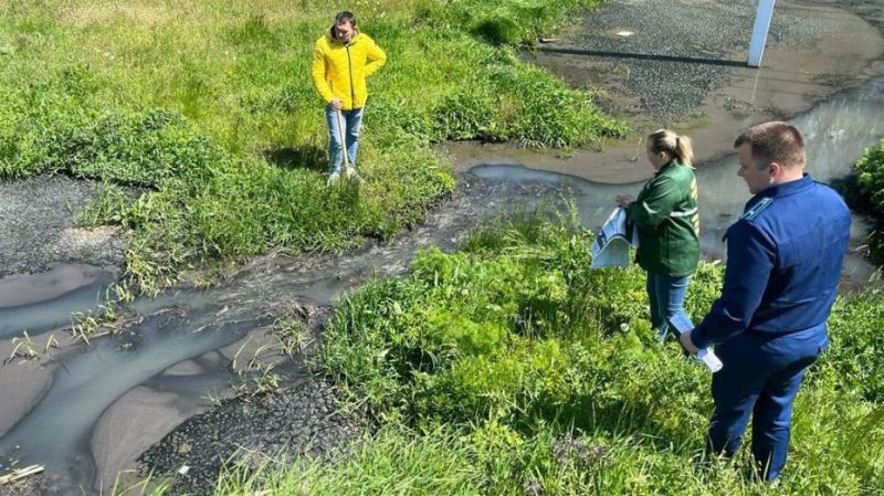 Загрязнение сточными водами почвы и лесного участка под Воронежем проверят