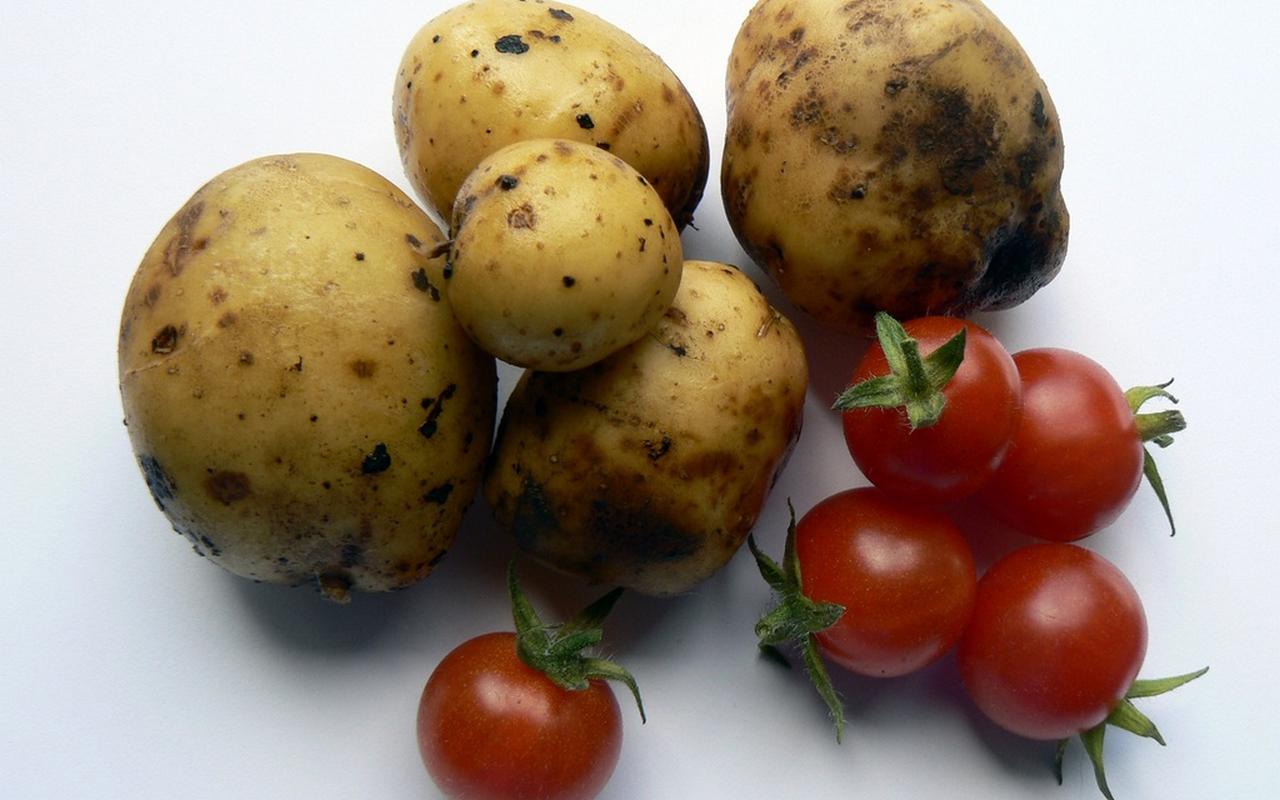 Помидоры с картошкой и маргарин подорожали за неделю в Воронежской области