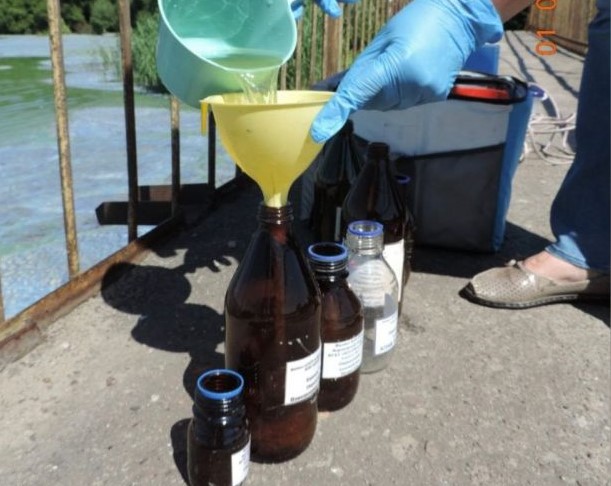 Росприроднадзор проверяет качество воды в сине-зелёном Масловском затоне в Воронеже