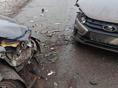 По вине пьяного водителя в ДТП в Воронежской области пострадали 2 человека