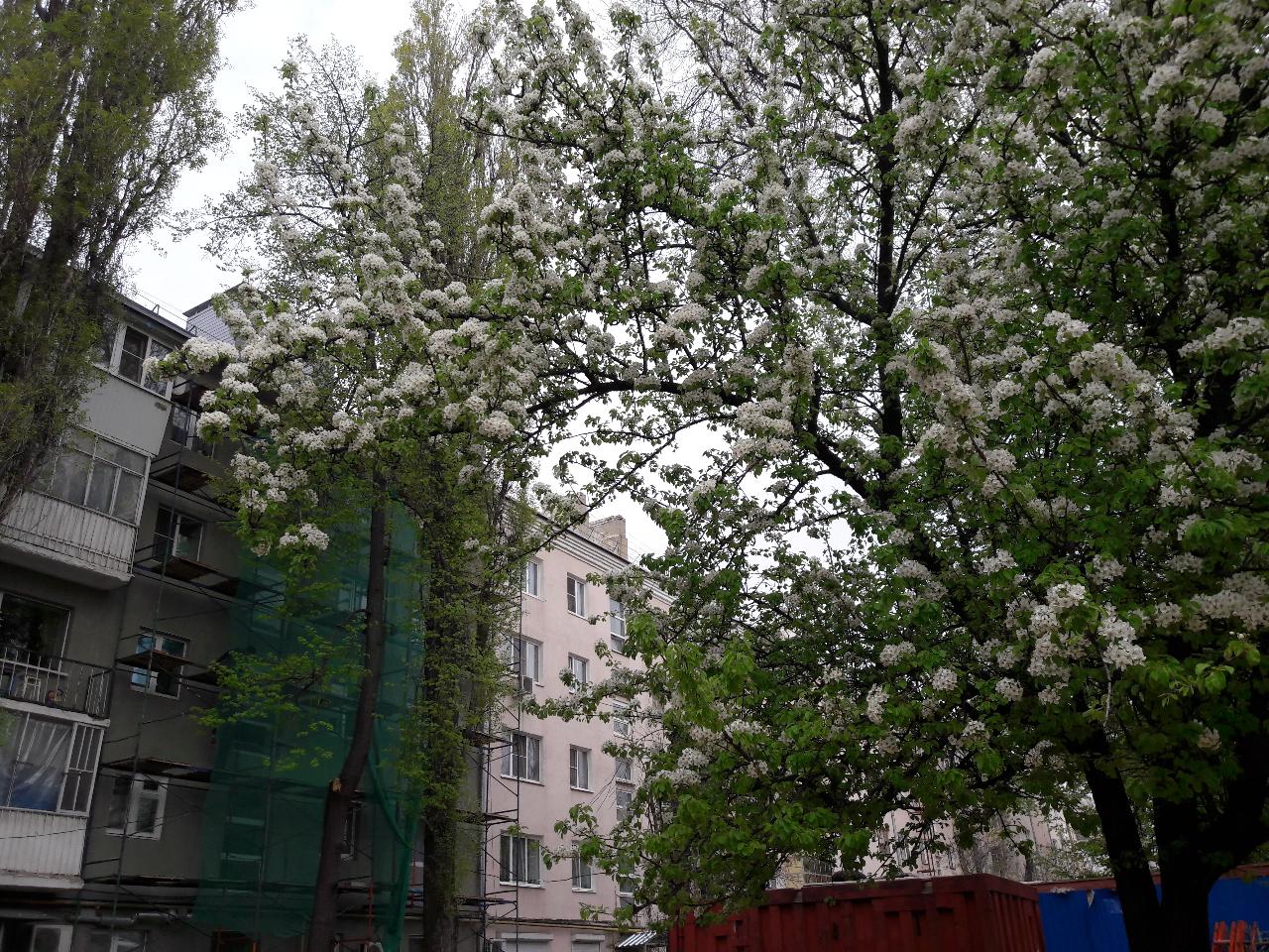 До +19 потеплеет 6 апреля в Воронежской области 