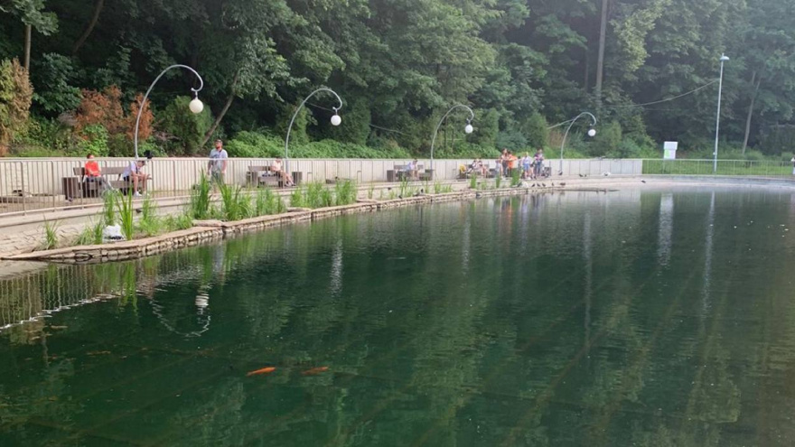 «Озеро» в Центральном парке очистили от мусора и тины после жалоб воронежцев
