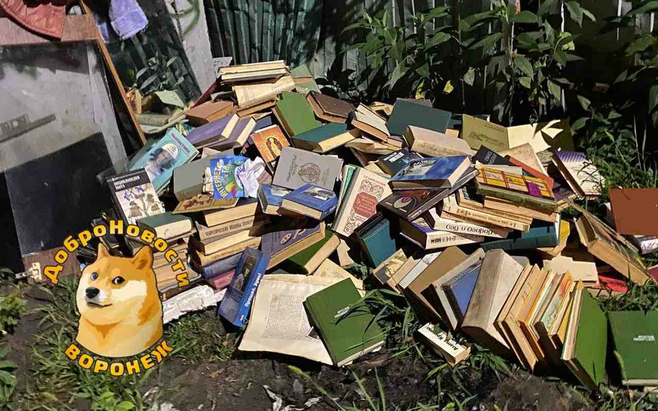 Жительница Воронежа обнаружила на свалке целую домашнюю библиотеку 