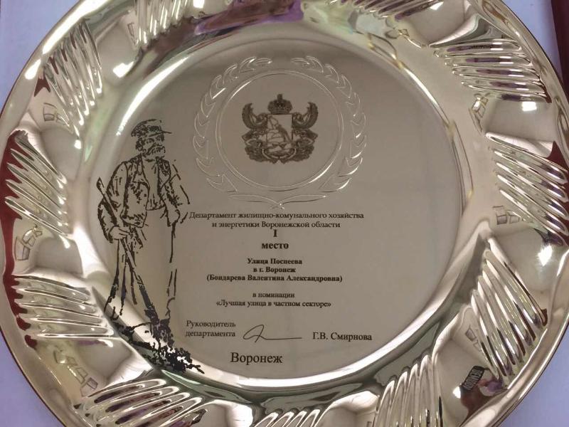 Победитель выявлен: самая лучшая улица частного сектора в Воронеже находится в Центральном районе города