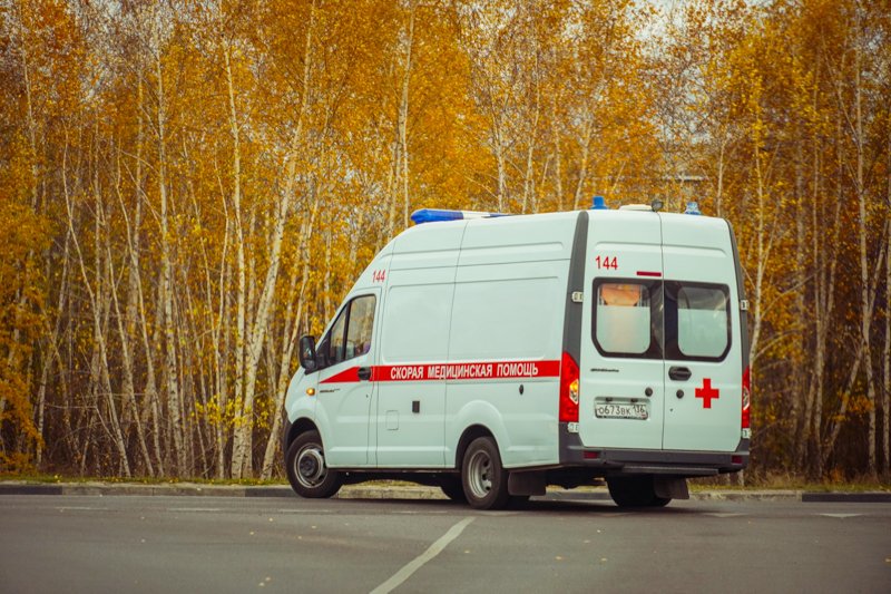 На дороге «Воронеж – Тамбов» столкнулись автобус и грузовик