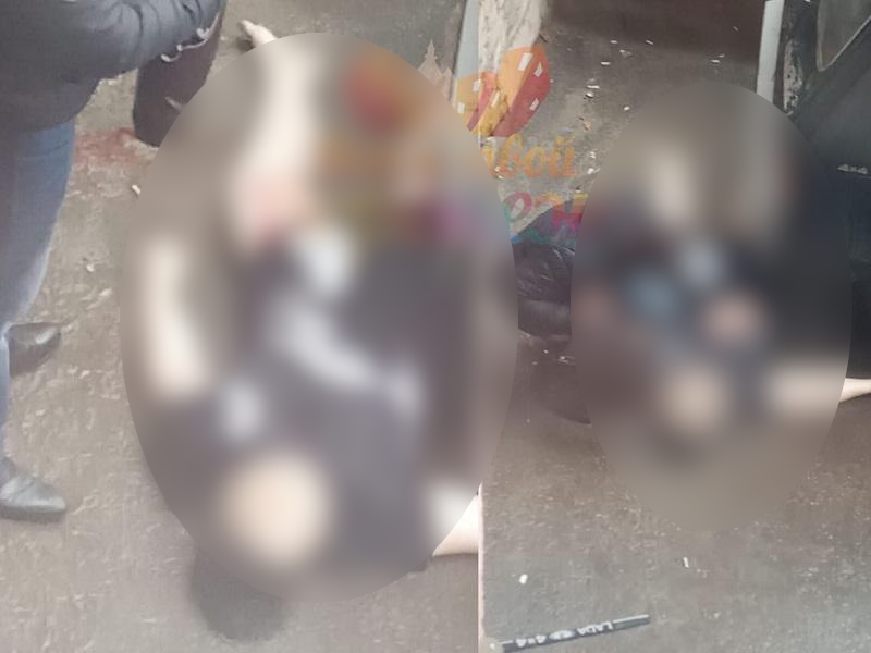 В Воронеже утром 1 апреля из окна многоэтажки на улице Димитрова выпала женщина