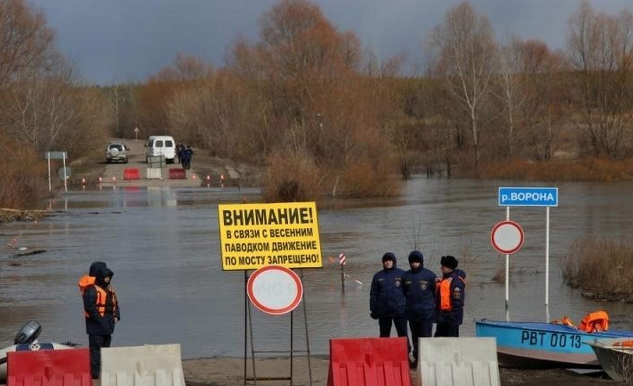 Из-за паводка 5 низководных мостов затопило в Воронежской области