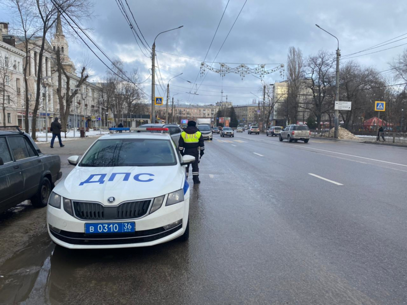 В Воронеже пешеходов-нарушителей тоже наказали 
